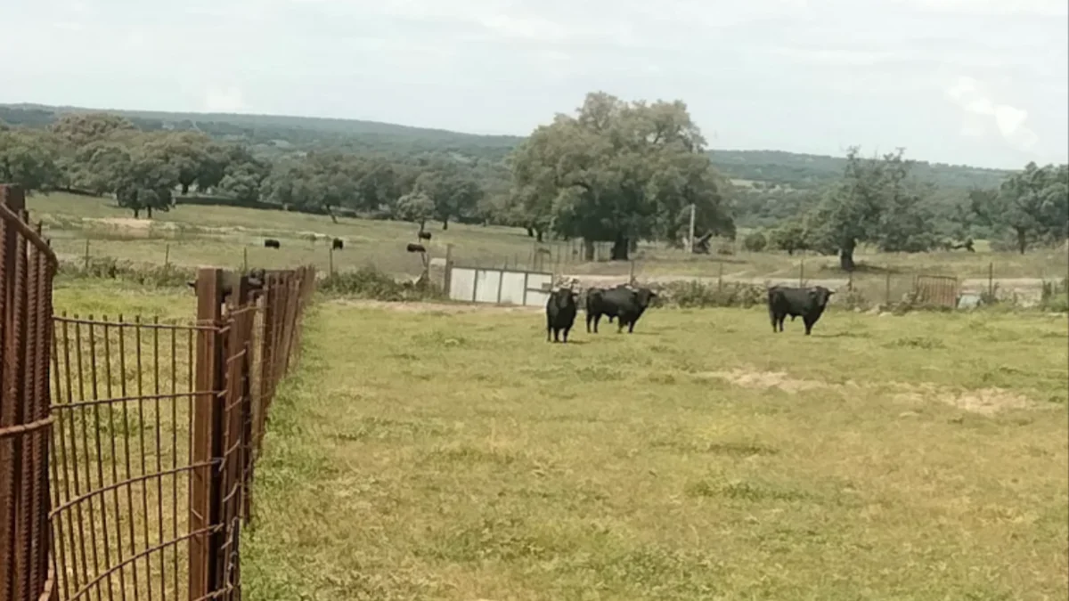 Screenshot_20251019-194158.Google